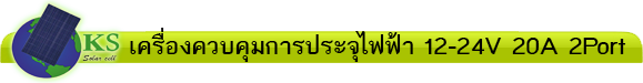 2-20a
